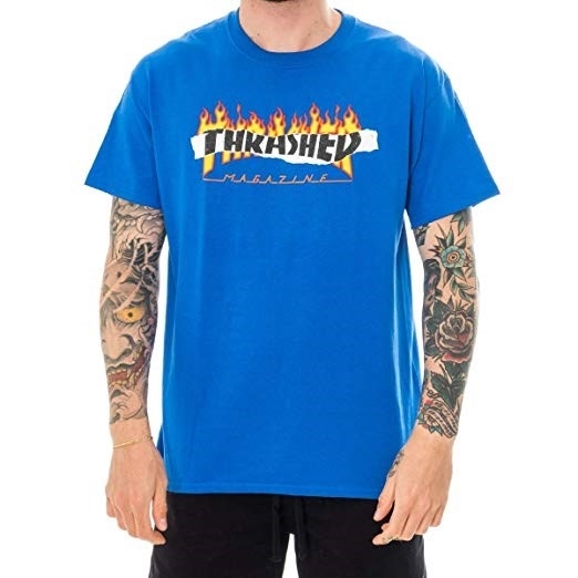 blue thrasher